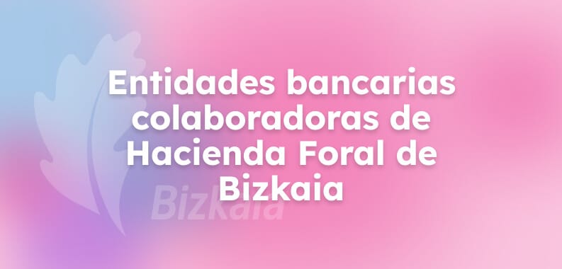 entidades-colaboradoras-hacienda-bizkaia